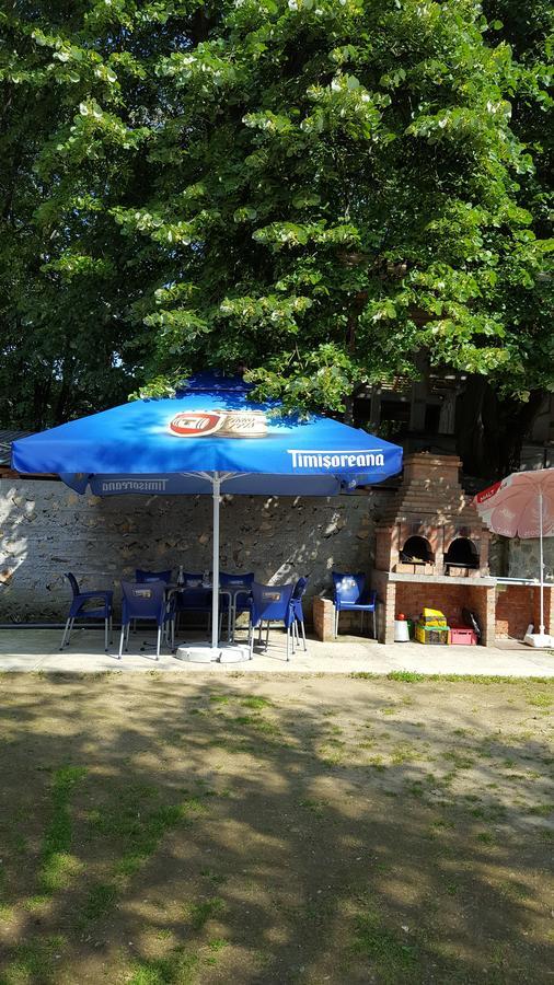 Casa Borcean Villa Sasca Montană Exterior photo